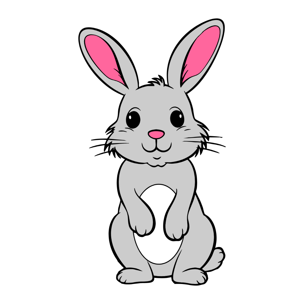 Rabbit