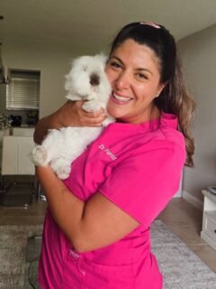 We’ve had the pleasure of meeting so many wonderful clients and patients over the past few weeks! ❤️
One of the fluffiest was Ted Mosby—and yes, we’re How I Met Your Mother fans, so his name was the cherry on top! 🐰
Ted is living the American dream after making the journey all the way from Brazil. 🇧🇷➡️🇺🇸
To all the new families we've had the privilege of meeting recently, thank you for trusting us with your beloved companions. We’re so grateful to have you as part of the Wildside family.
Welcome to the Wildside! 💚🦜🐇🦎

#wildsidevet #southfloridavet #MobileVet