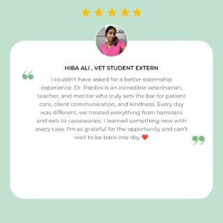Dear Hiba,
What a pleasure it was to have you as our extern! Your enthusiasm, energy, and excitement for all the cool things we got to do made you such a wonderful addition to our team.
It was truly a pleasure having you with us, and we wish you all the very best in your future endeavors. 
Keep learning, keep growing, and keep doing amazing things!
And, of course, you are always welcome back at Wildside! We would love to have you visit us again.

@dogtorhibz 

#wildside #vetstudent #vetmed