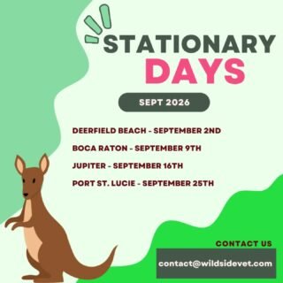 Ready for September's Stationary Days? We are!
Don’t miss out—appointments are limited and booked on a first-come, first-served basis!

How does it work?
On Stationary Days, we park at a set location so you can meet us there—meaning you get all the perks of mobile care at a reduced mobile fee!

We offer:
• Wellness exams
• General consultations
• Blood work
• Radiographs
• And so much more!

Spots fill up fast—contact us today to reserve yours!
Email: contact@wildsidevet.com
Call/Text: 954-681-5599