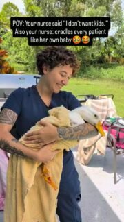 Some people dream of having human babies… our nurse apparently chose the exotic animal baby route instead. 😂❤️

And honestly, watching her cuddle, comfort, and spoil our patients is one of our favorite things. 🥹🐰🦜🦎🐢

No human kids? Totally fine. Just bring her all the animal babies. 😂🐾

#WildsideVet #ExoticVet #ExoticAnimals #VetNurse #VetTech AnimalLovers ExoticPets VeterinaryMedicine AnimalBabies