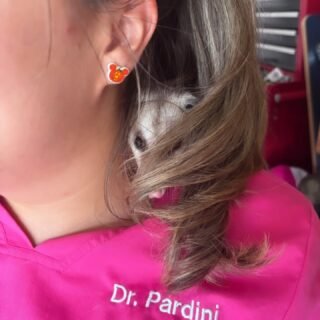 🍼🦡 Tiny patient, BIG adventure! ❤️

This little opossum decided Dr. P’s hair and shoulder were the perfect place to explore! 😂

But beyond being adorable, opossums are incredibly important to our ecosystem, even though they often get a bad reputation.

🌿 Why should we appreciate opossums?

🪲 Natural pest control: They eat insects, cockroaches, snails, and other invertebrates, helping keep their populations in check.

🍃 Nature’s recyclers: As omnivores and scavengers, they help clean up organic matter and consume carrion.

🛡️ Shy, not aggressive: Opossums generally prefer to avoid conflict. Hissing, showing their teeth, or playing dead are defensive responses when they feel threatened.

💚 The truth? They’re not pests that need to be feared — they’re wild animals that deserve our respect! Like any wildlife, they’re best admired from a safe distance and left in their natural habitat whenever possible.

At Wildside, we believe education is one of the most powerful tools for protecting wildlife. The more we understand these misunderstood animals, the better we can coexist with them! 🌎🐾

#WildsideVet #Opossum #WildlifeEducation #WildlifeConservation #ExoticAnimalMedicine SouthFloridaWildlife